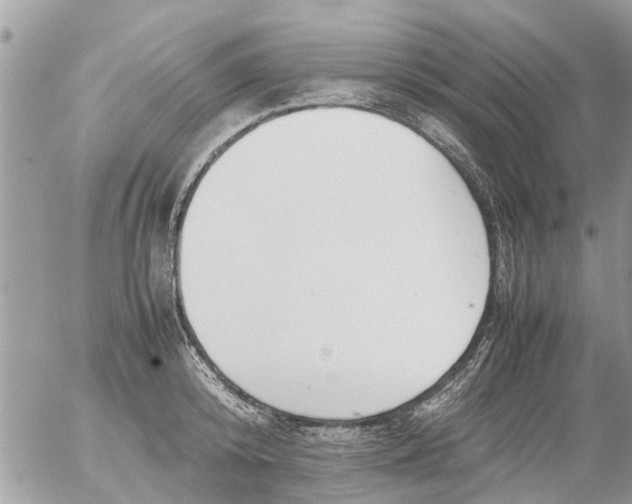 X0000054430800200508262346