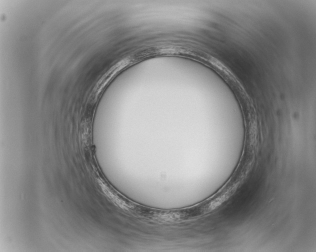 X0000054430801200508262346