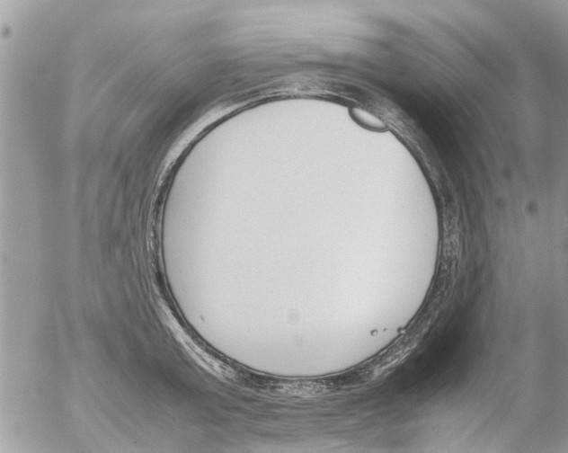 X0000054430803200508262346