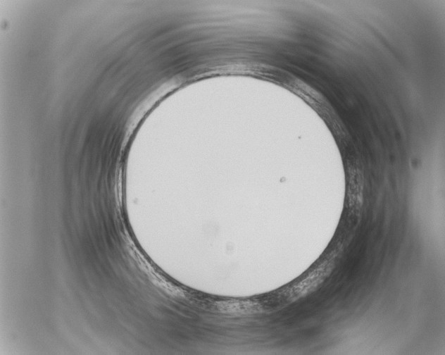 X0000054430804200508262346