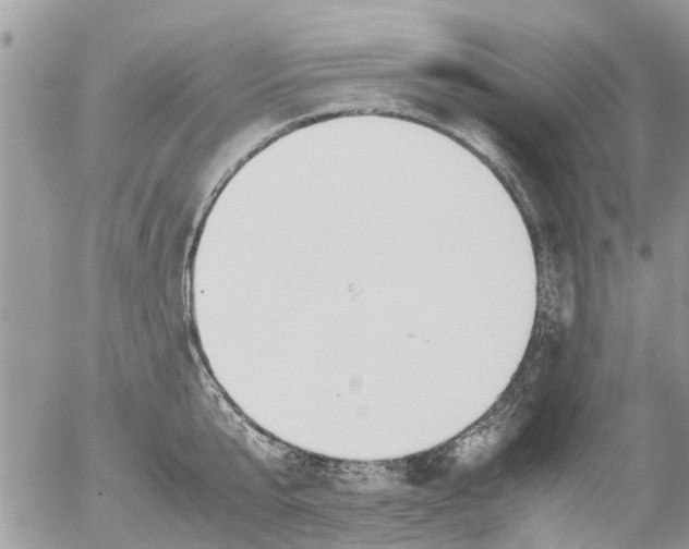 X0000054430807200508262346