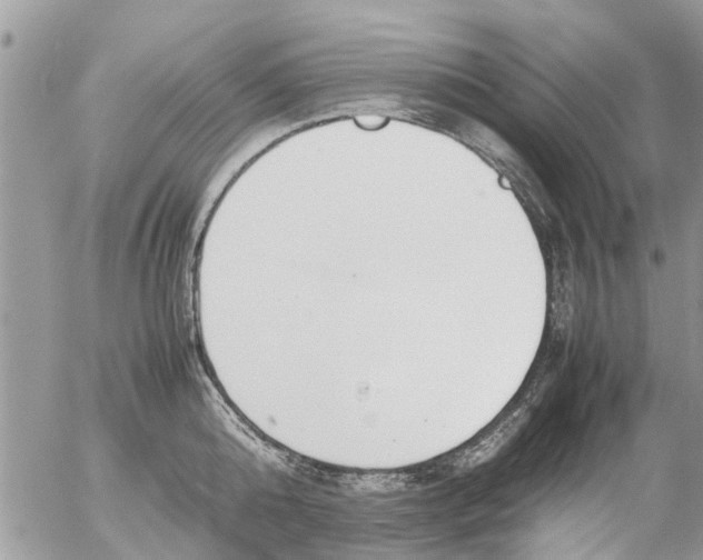 X0000054430808200508262346