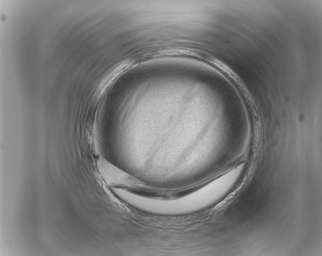 X0000054430809200508262346