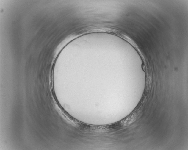 X0000054430811200508262346