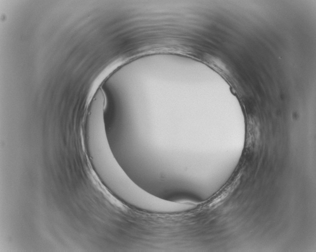 X0000054430812200508262346