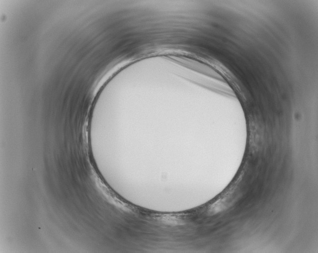 X0000054430814200508262346