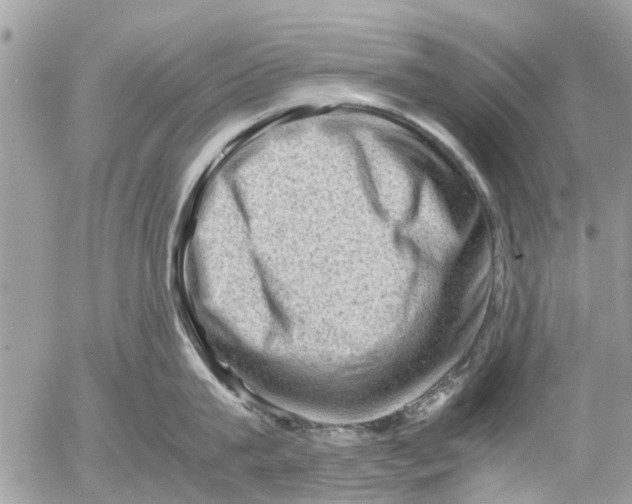 X0000054430815200508262346