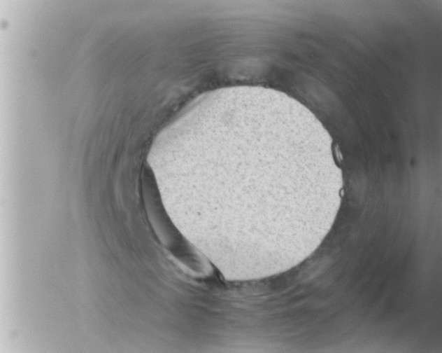 X0000054430817200508262345