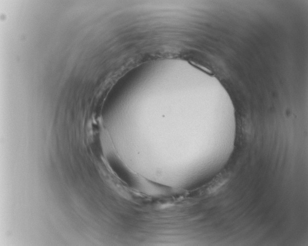 X0000054430818200508262345