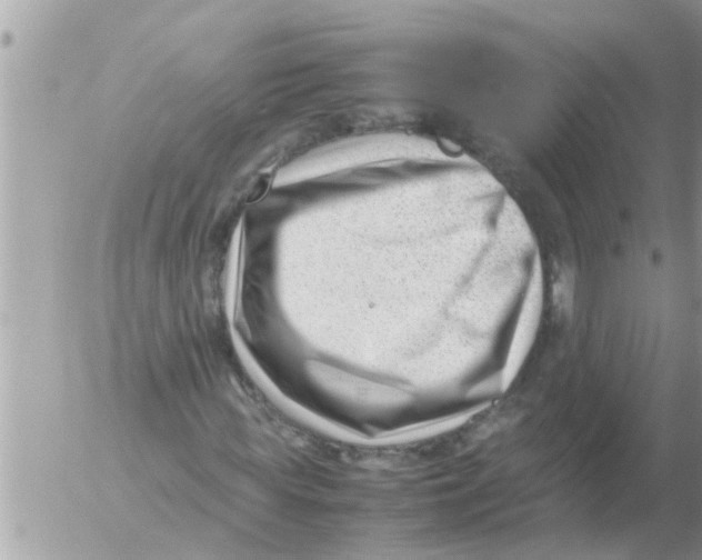 X0000054430819200508262345