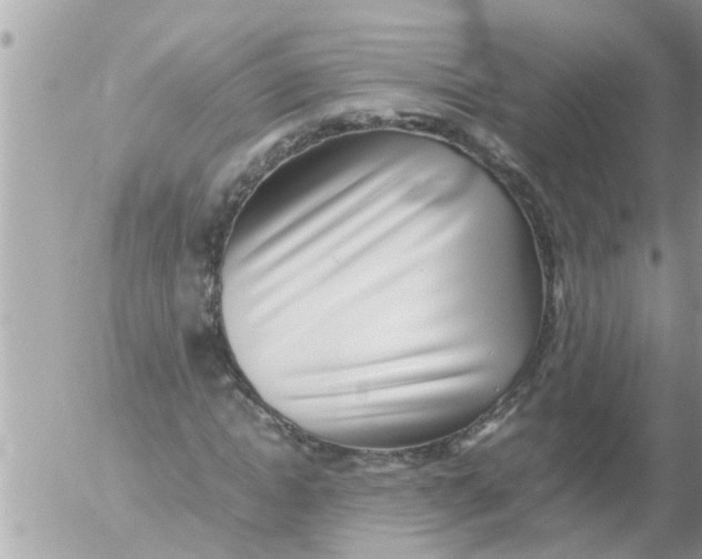 X0000054430822200508262345