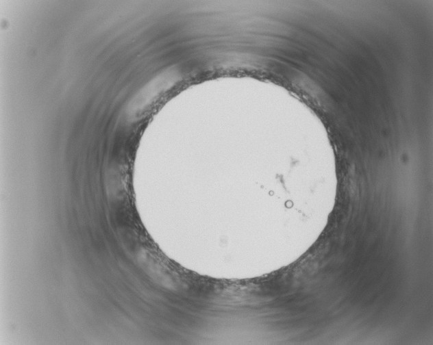 X0000054430824200508262345