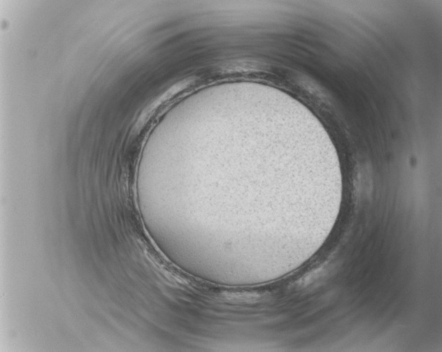 X0000054430825200508262345