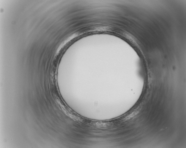 X0000054430827200508262345