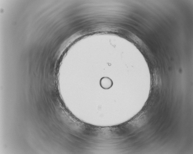 X0000054430828200508262345