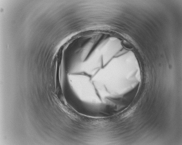 X0000054430830200508262345