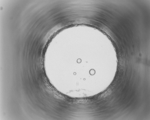 X0000054430832200508262345