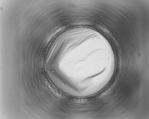 X0000054430833200508262345