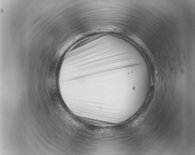 X0000054430834200508262345