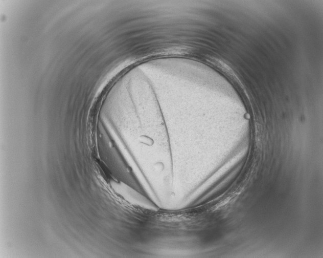 X0000054430835200508262345