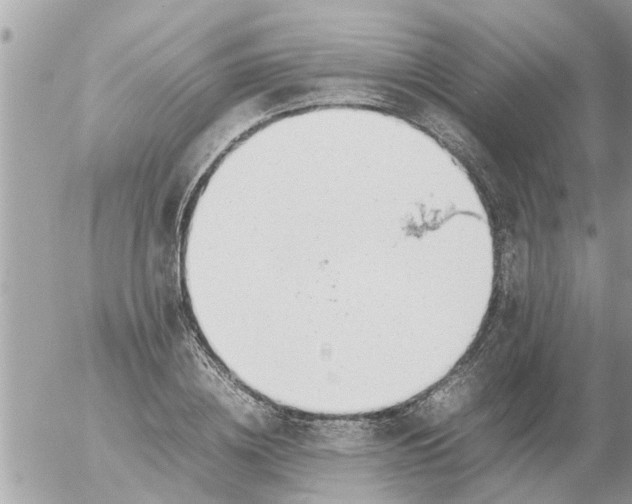 X0000054430836200508262345