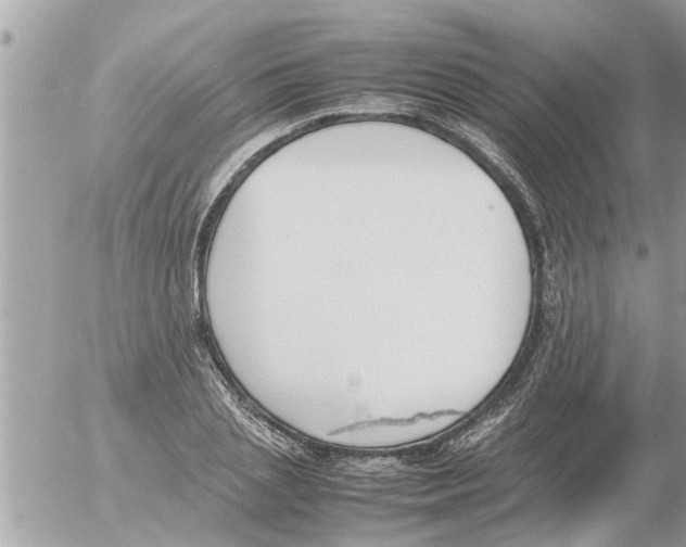 X0000054430837200508262345