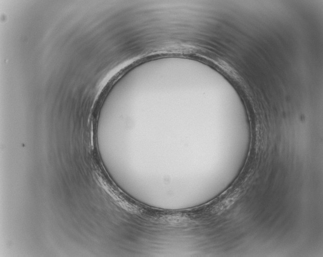 X0000054430838200508262345