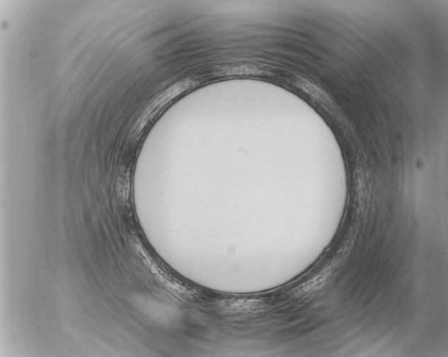 X0000054430841200508262345