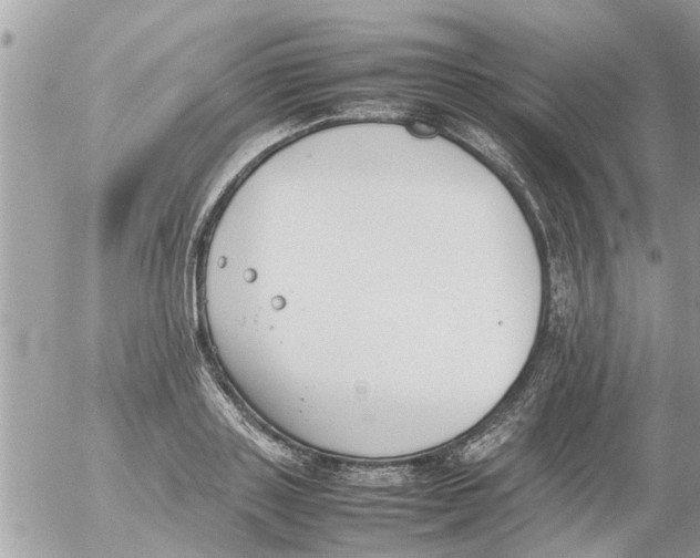 X0000054430843200508262345