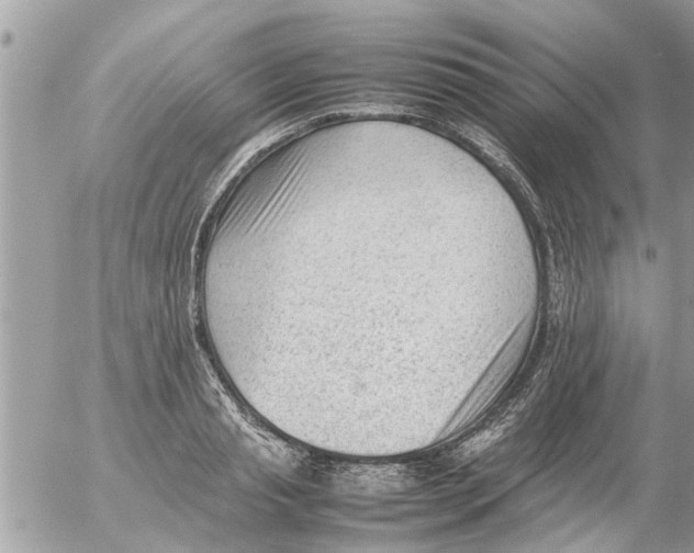 X0000054430845200508262345