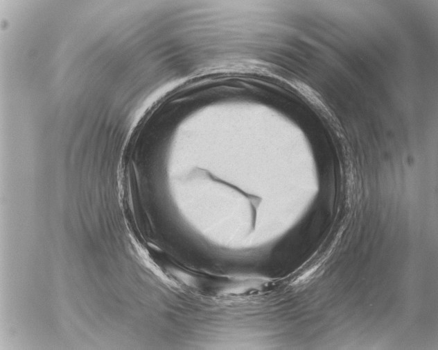 X0000054430846200508262345