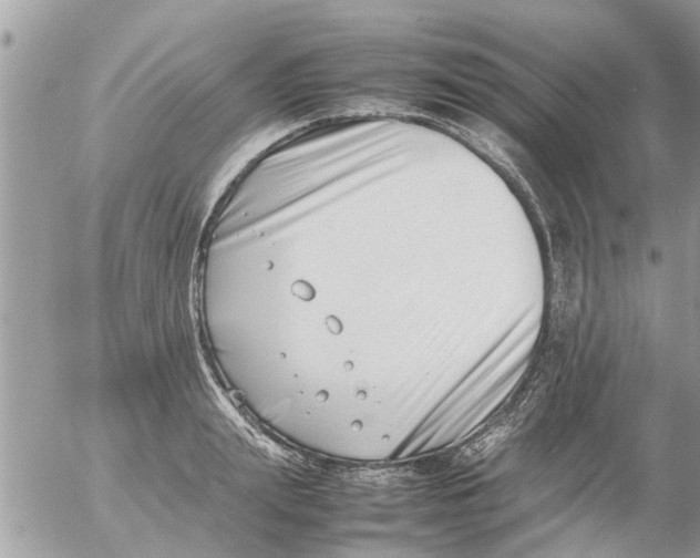 X0000054430847200508262345