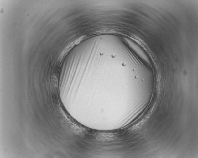 X0000054430849200508262345