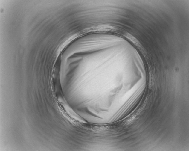 X0000054430850200508262345