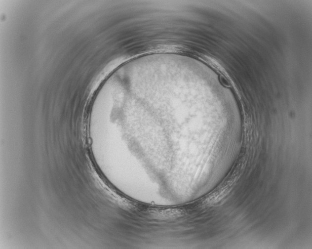 X0000054430851200508262345