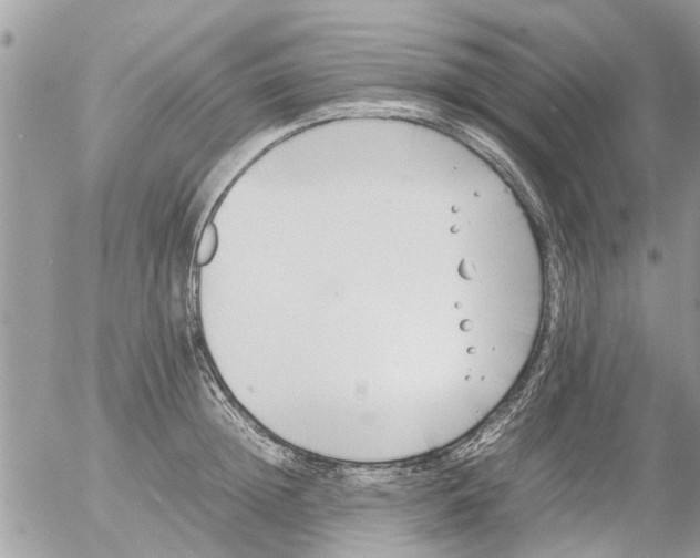 X0000054430852200508262345