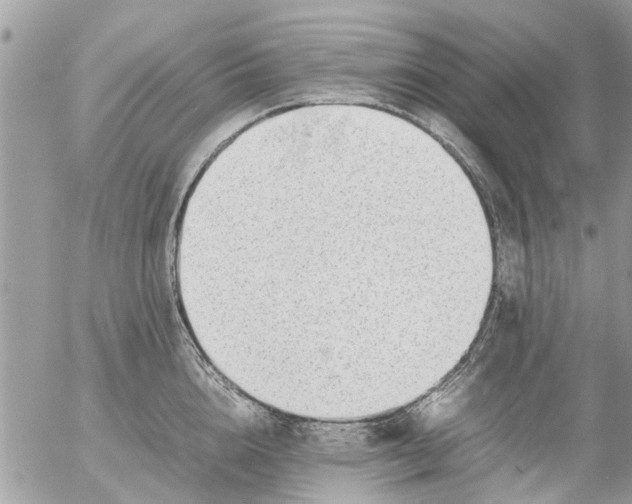 X0000054430856200508262345