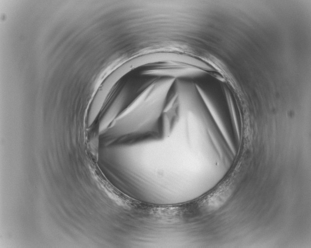 X0000054430858200508262345