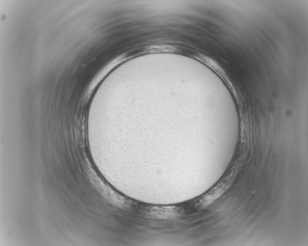 X0000054430859200508262346