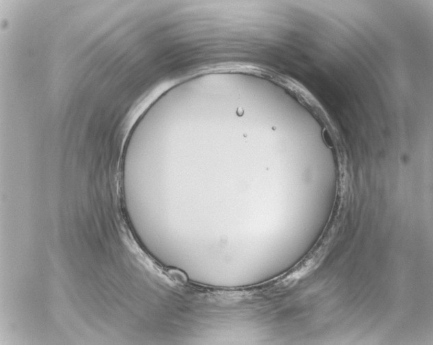 X0000054430860200508262346