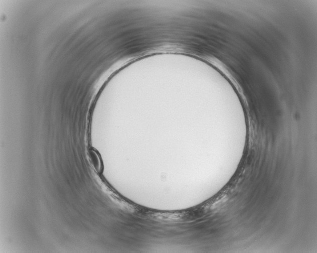 X0000054430861200508262346