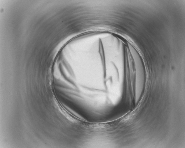 X0000054430862200508262346