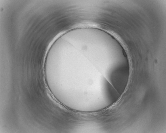 X0000054430864200508262346