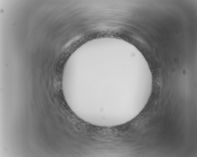 X0000054430869200508262345