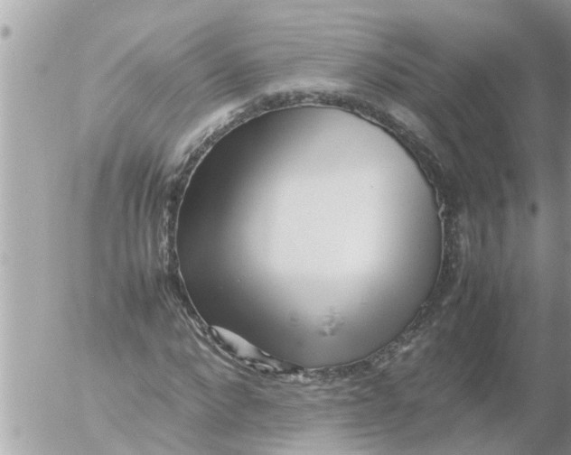 X0000054430872200508262345