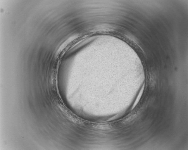 X0000054430874200508262345