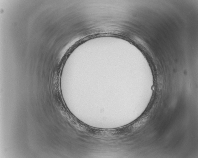 X0000054430875200508262345