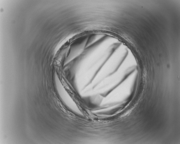 X0000054430877200508262345