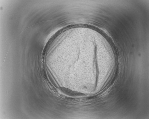 X0000054430879200508262345