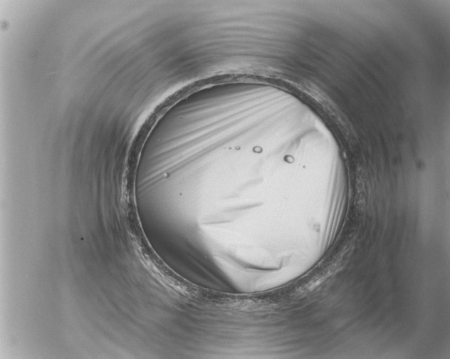 X0000054430880200508262345